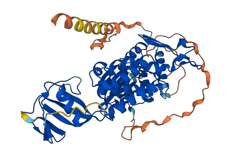 PKDCC 3D structure