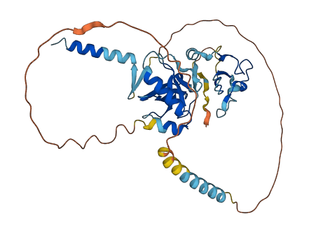 ZCWPW2 3D structure