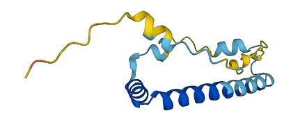 LIN52 3D structure