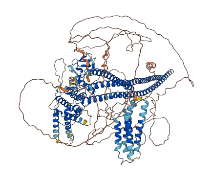 ARHGAP29 3D structure