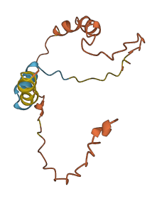 C14orf177 3D structure