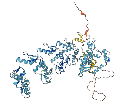 ZNF585B 3D structure