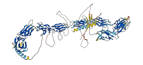 FNDC3B 3D structure