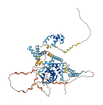 TIGD5 3D structure
