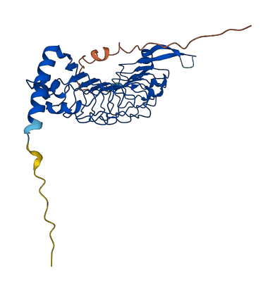 LRRC23 3D structure