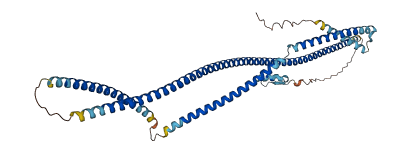 CEP55 3D structure