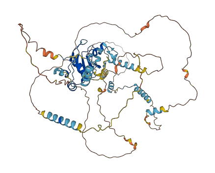 NCBP3 3D structure