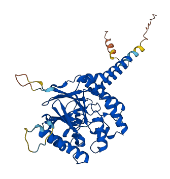 MPPE1 3D structure