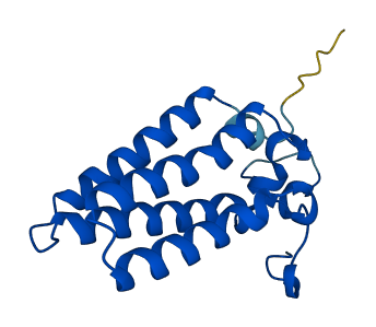ORMDL2 3D structure