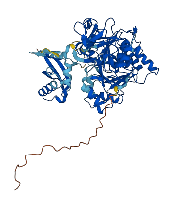 ACSM3 3D structure