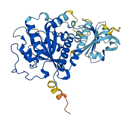 IFI44L 3D structure