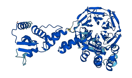 KLHL12 3D structure