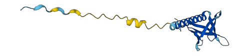 PHLDA2 3D structure