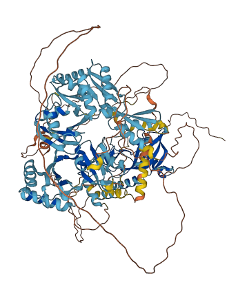 PARP10 3D structure