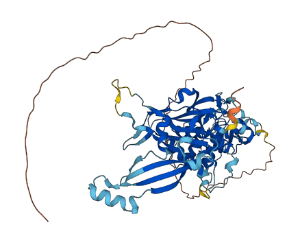 USP39 3D structure