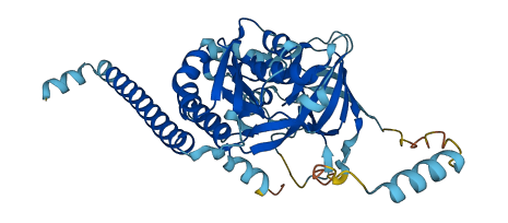 AGK 3D structure