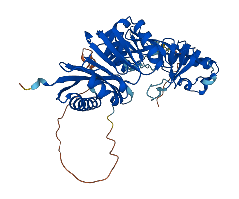 TRMT12 3D structure