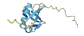 ANKRD40CL 3D structure