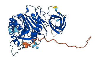 PLA1A 3D structure