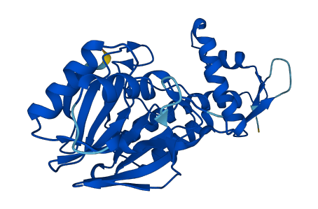 LACTB2 3D structure