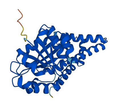 PYCR3 3D structure