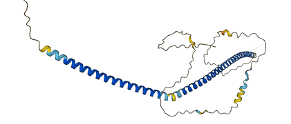 CCDC92 3D structure