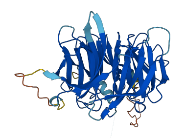 EIPR1 3D structure