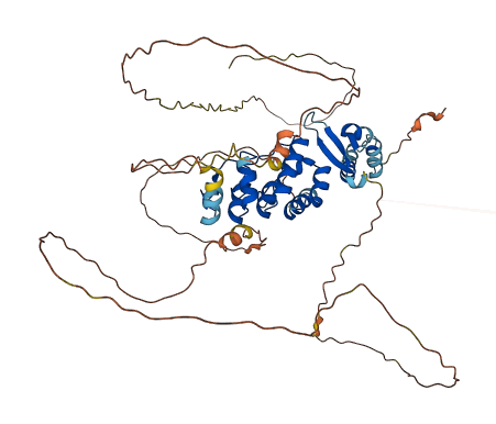 SOWAHC 3D structure
