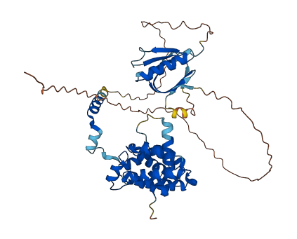 ARHGAP15 3D structure