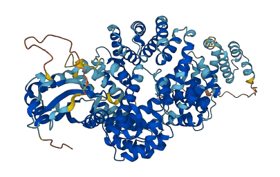 FASTKD1 3D structure