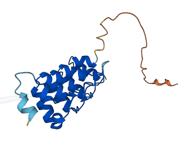 ANKRD39 3D structure