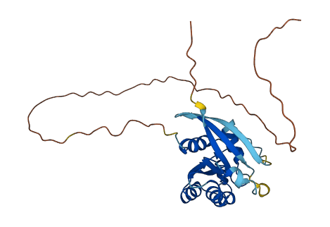 RAB6D 3D structure