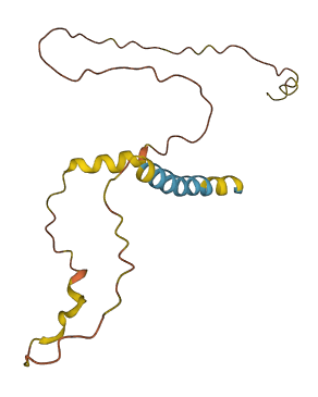 C2orf83 3D structure