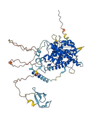 TAF1B 3D structure