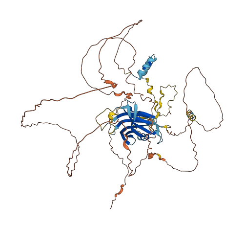 C2CD6 3D structure