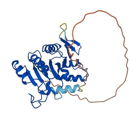 Bles03 3D structure