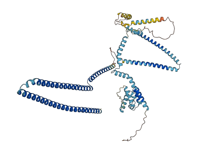 CCDC93 3D structure