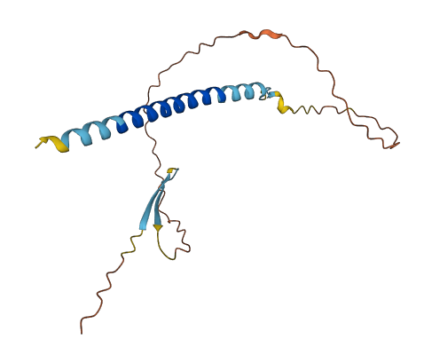 C5orf47 3D structure