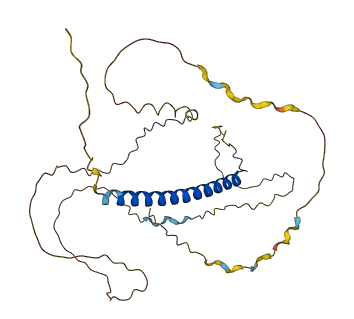 PRR16 3D structure