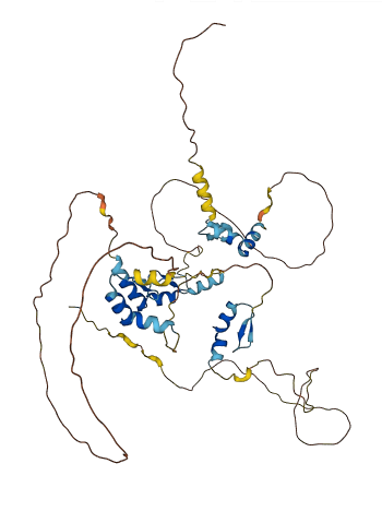 ZNF385B 3D structure