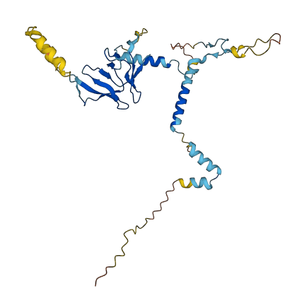 EAPP 3D structure