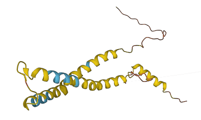 OCIAD2 3D structure