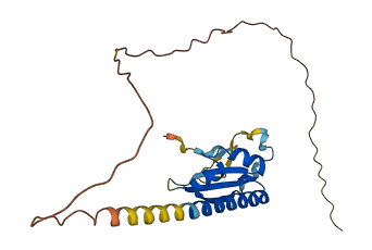 KHDC3L 3D structure