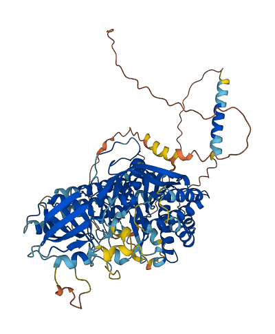 NAALADL2 3D structure