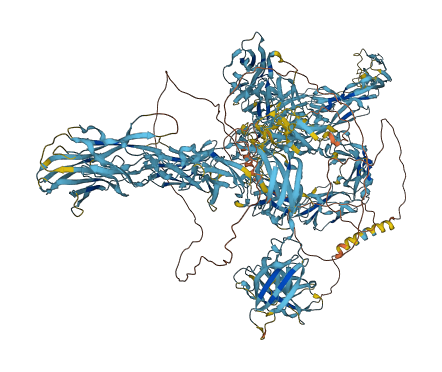 SDK2 3D structure