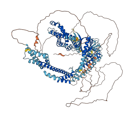 PLEKHG4 3D structure