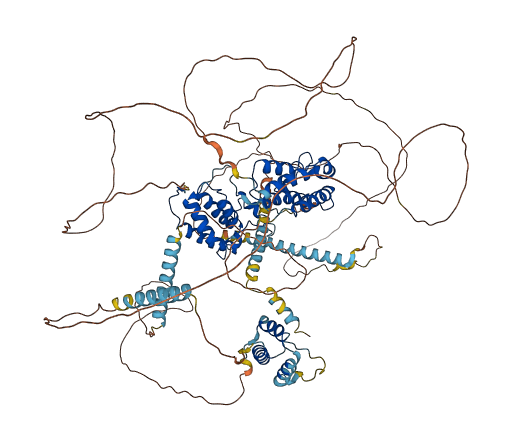 BRDT 3D structure