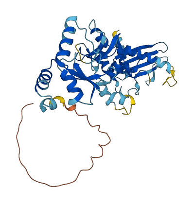 HSP90B2P 3D structure