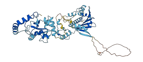 HSP90AB4P 3D structure