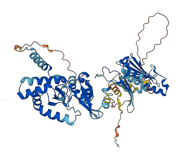 HSP90AB3P 3D structure